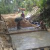Development Programmes